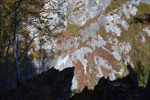 Каменные преграды реки Шинок имеют тектоническое происхождение