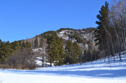 Природа зимой в долине Сосновки