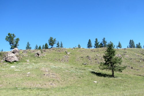 Пейзажи Улаганского плато