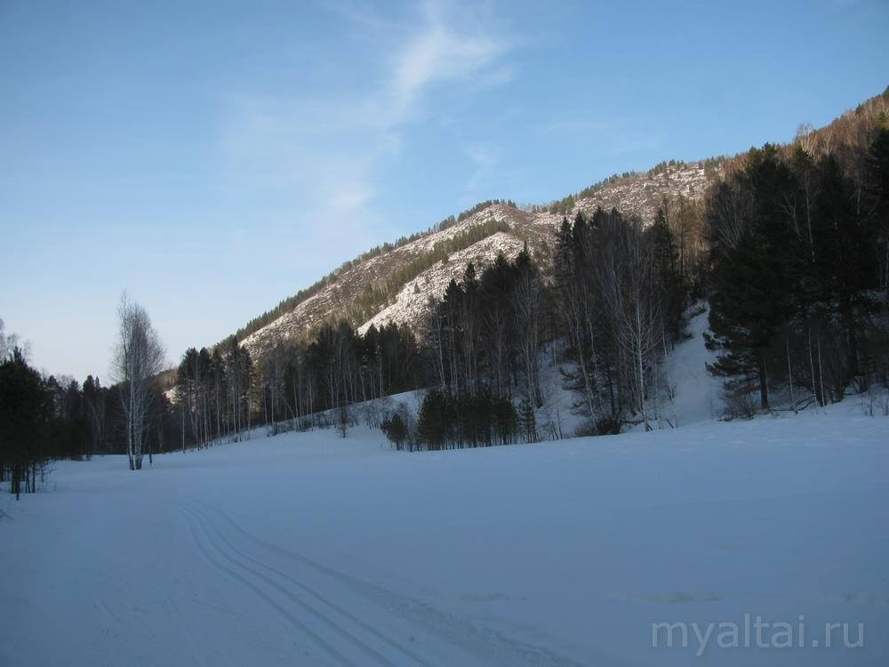 Лыжная трасса биатлонного комплекса «Алтайский»